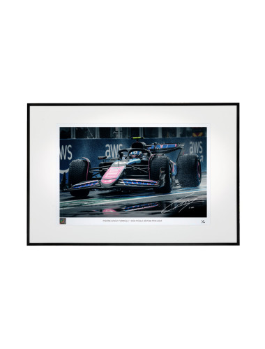 Fotos Pierre Gasly GP São...
